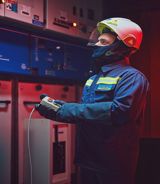 Elektrik Perakende 2