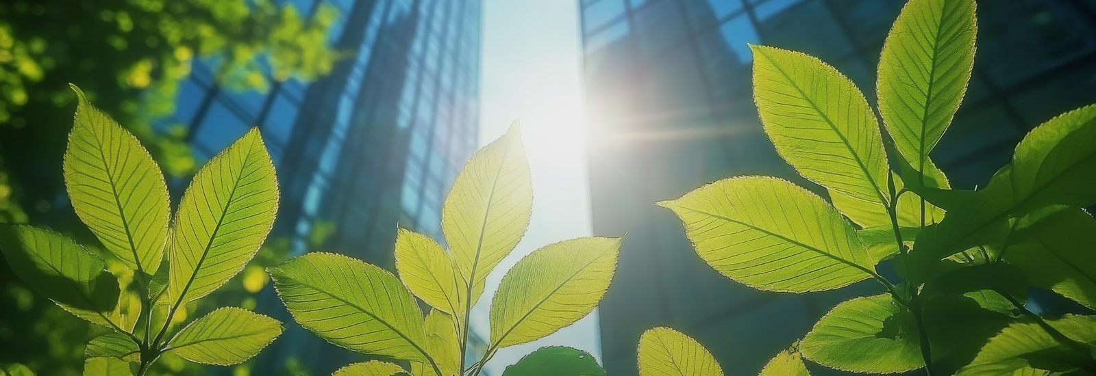 Environmental Sustainability