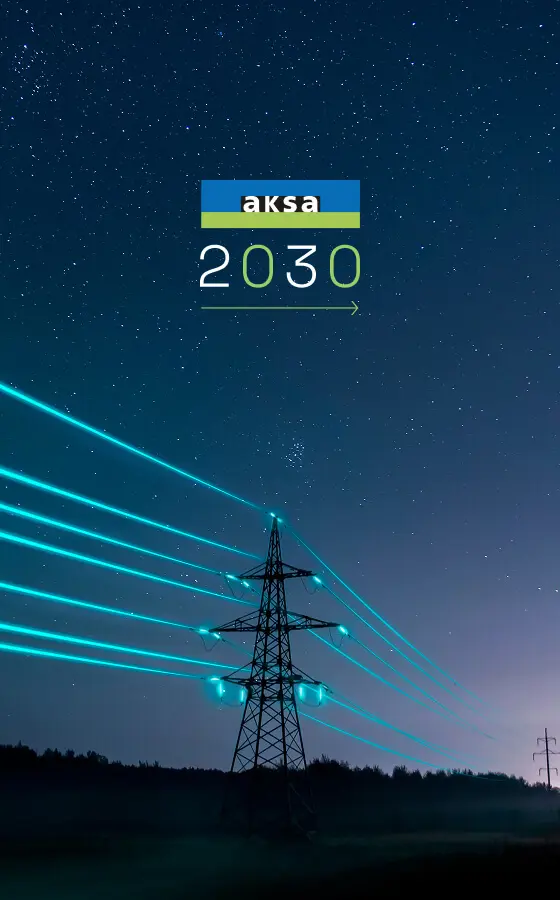 Our 2030 Strategy  to Advance Our Strength into the Future